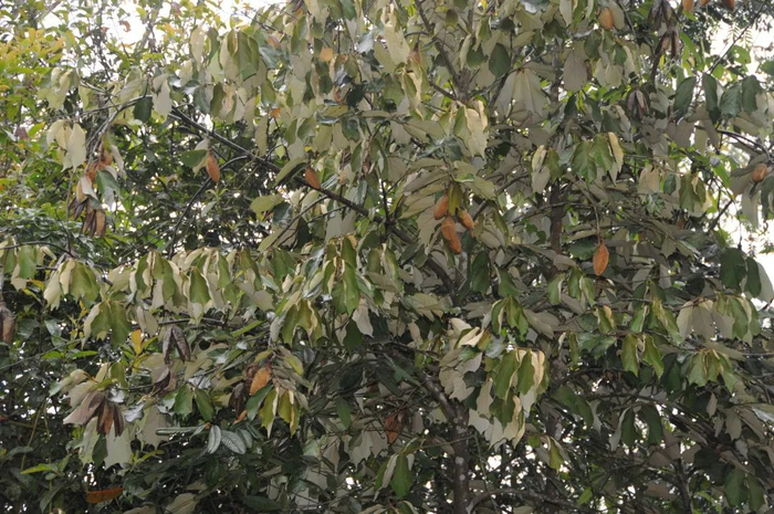       △拍摄者：蒋宏     