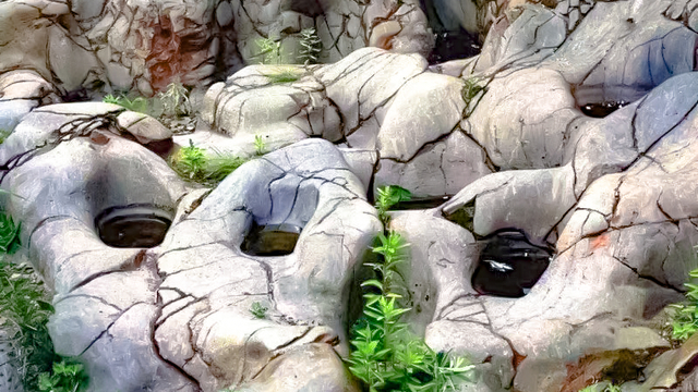 3.王平镇东石古岩村