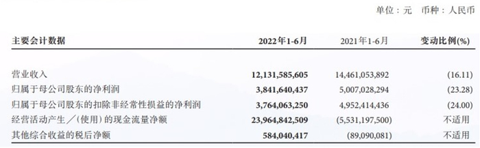 数据来源：公司财报