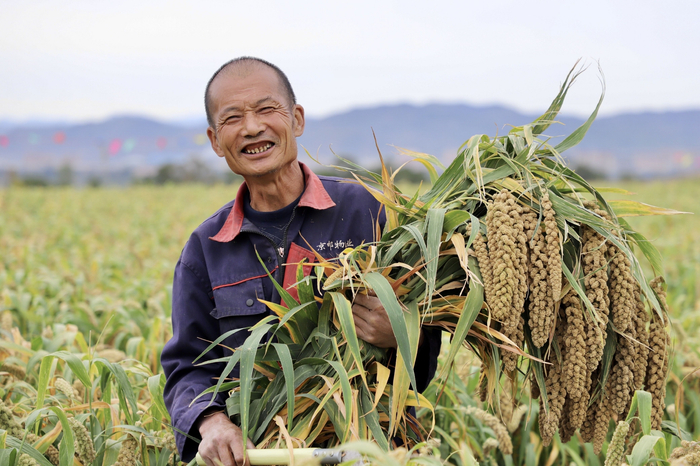 河北张家口，农民丰收的笑脸。受访者供图