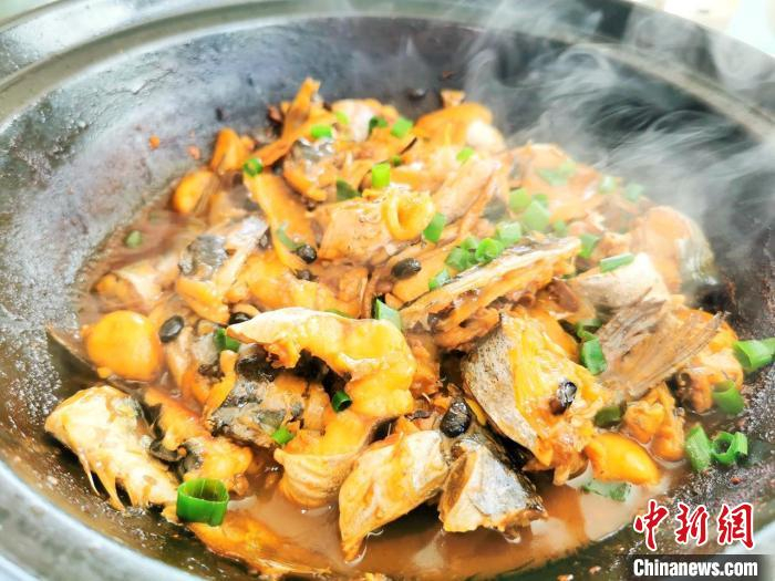 豆豉陈皮煲仔焖“暗丁”鱼，鲜香扑鼻。　李晓春 摄