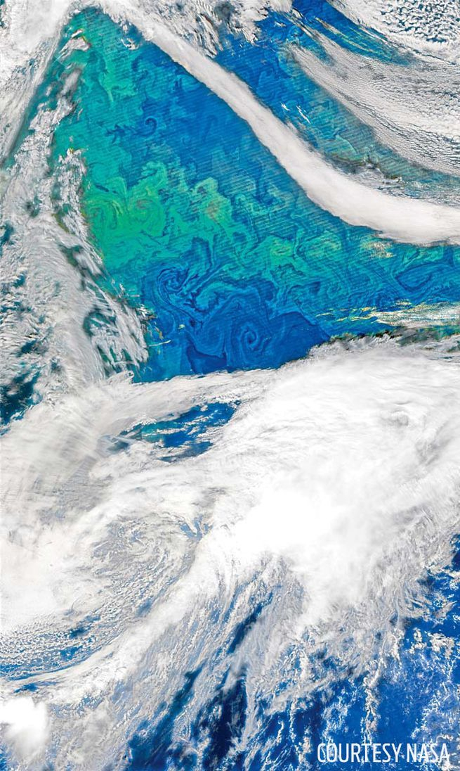 海洋被染成了蓝绿色的条带。图片来源：NASA