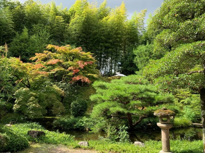 “富士山之庭”。澎湃新闻 图