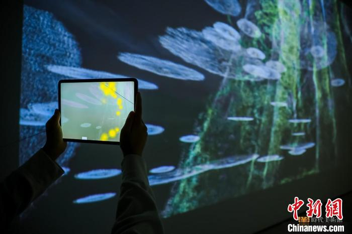 展览现场 北京时代美术馆供图