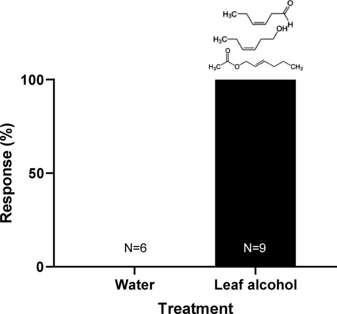 没有一只飞往撒水的位置，都飞到了割草味的地方。图片来源：文献4