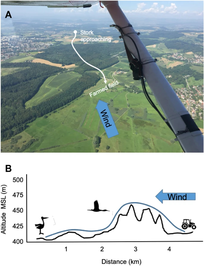 在飞行的过程中确保视觉上是有地形阻碍的。图片来源：文献4