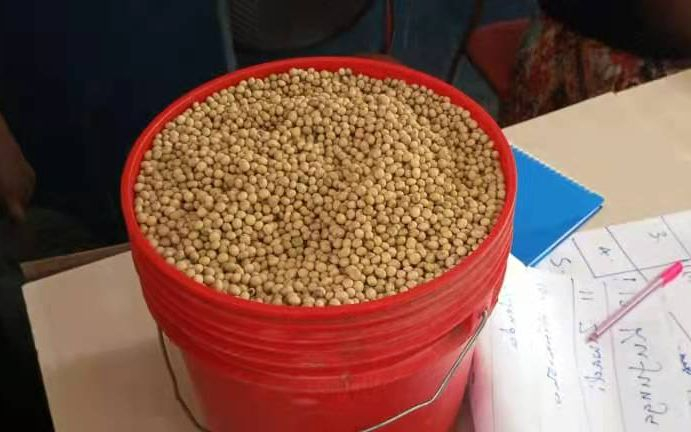 2022年6月23日，佩雅佩雅村，村民们第一次收获的大豆。中国农业大学供图