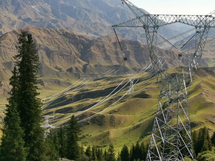 输电线路穿越云杉场景。范江江 摄