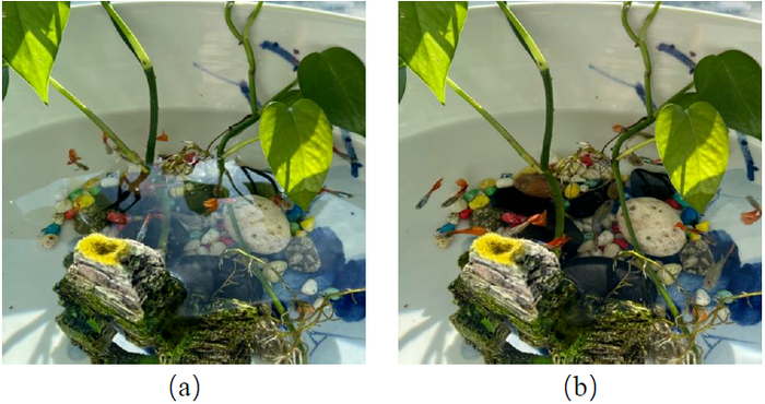 图9：利用偏光镜拍摄室内景物（a）未加偏光镜；（b）加偏光镜。图片来源：王晓杰