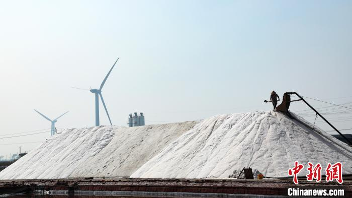 图为海兴县一处盐场的工人加紧作业，收获原盐。　杨可新 摄