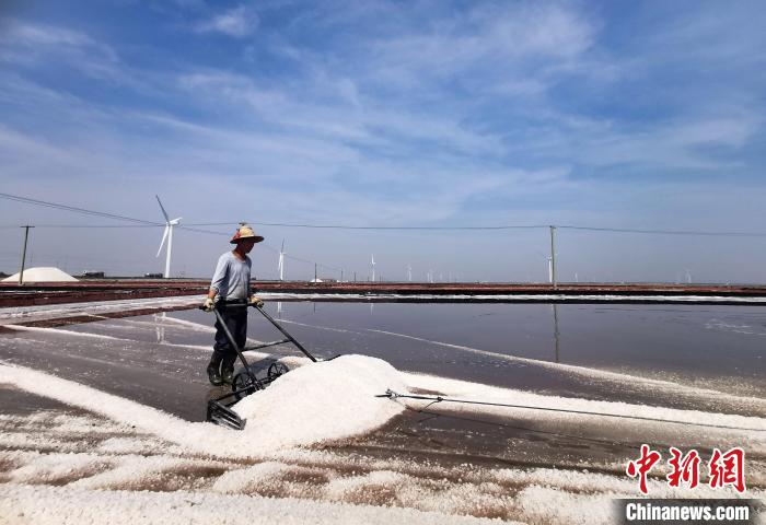 图为海兴县一处盐场的工人加紧作业，收获原盐。　杨可新 摄