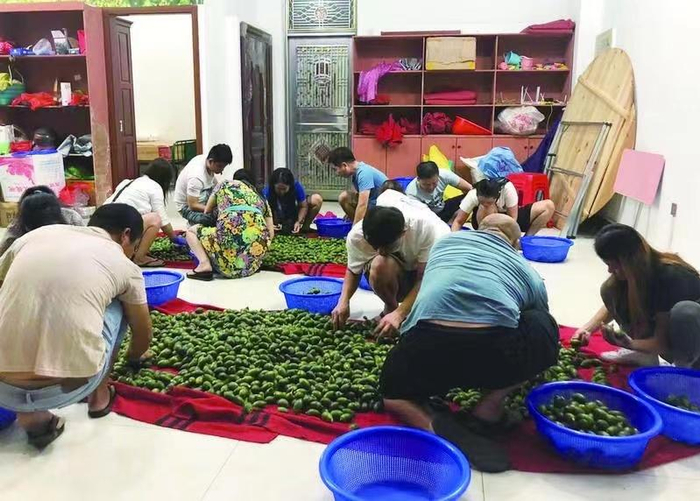 2021年10月10日晚，万宁市一家槟榔批发店，街头小贩们在此挑选槟榔。新京报记者 杜寒三 摄