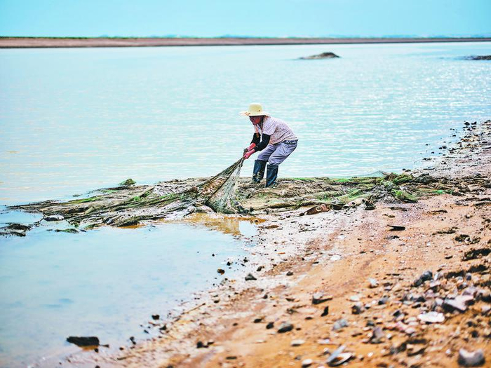 9月7日，江豚救护队员用力拉起沉在淤泥里的垃圾，这是江豚救护队员日常的工作。新京报记者 郭延冰 摄