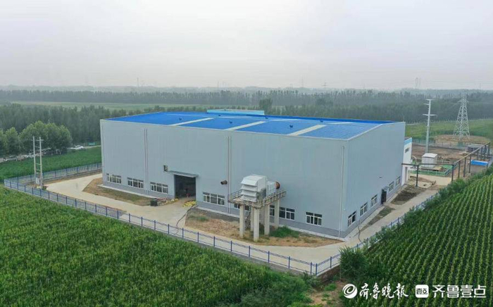 非凡十年｜国网泰安供电公司为经济社会发展提供澎湃动能|东平|电力|泰安_新浪新闻