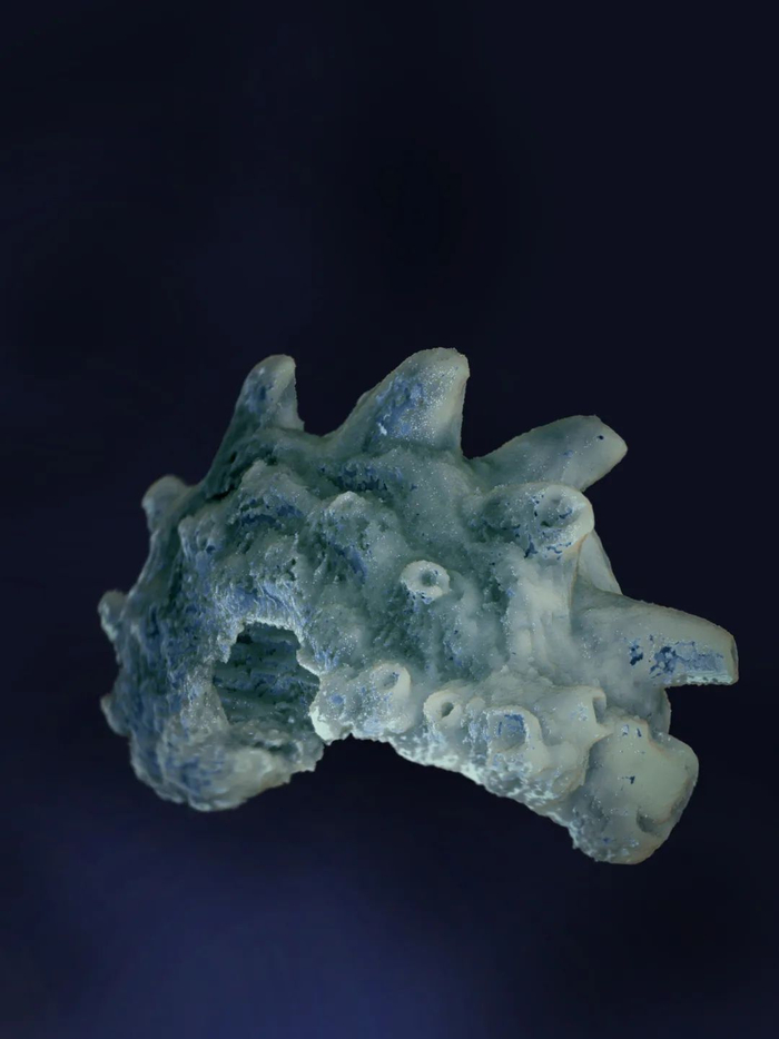 ▲双列黔齿鱼齿旋（正模）数字复原，舌面观，标本长度刚过2毫米