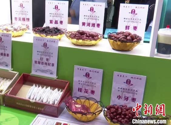 “中国枣乡”山西柳林迎来红枣丰收季。　柳林县融媒体中心供图