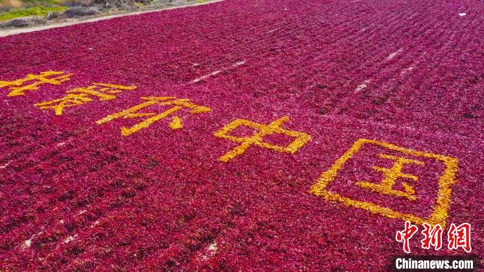 博湖县农民摆出了“我爱你中国”的造型，来祝福祖国更加繁荣昌盛。　胡侍琦 摄