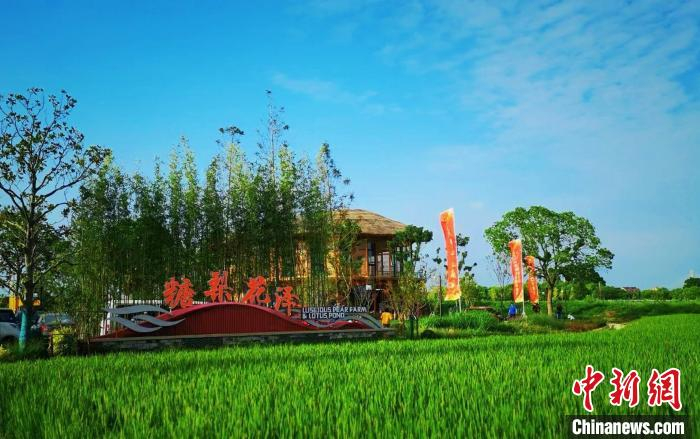 庄行镇镇实施新一轮低效租赁企业“腾笼换鸟”攻坚计划，把农村风貌提升与专业设计结合起来。　奉贤区新闻办供图