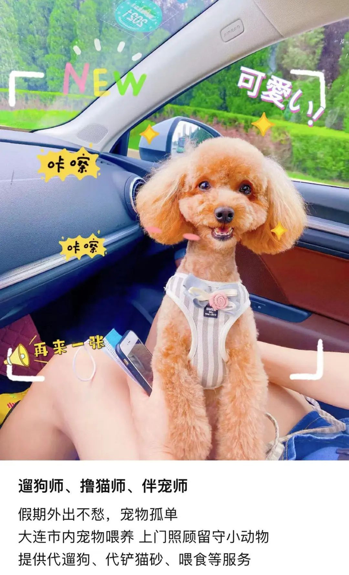 网友发出的撸宠师兼职广告&nbsp; 图片 / 网友@梦梦