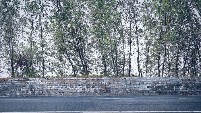 由青石和花岗石条石垒砌而成的华亭古海塘如今依然深情凝望着一方乡土