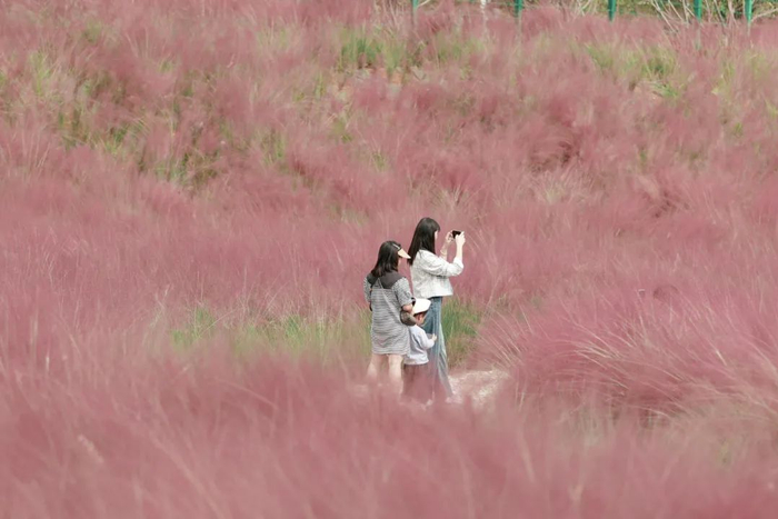 胡妤雅 摄