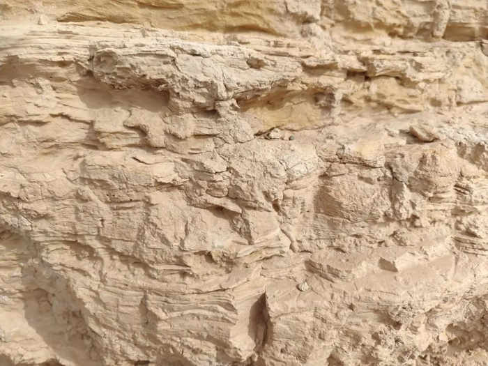 近处看雅丹体细节。高宇婷 图