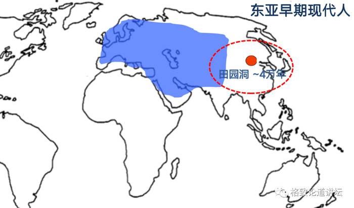 ▲ 更新世晚期东亚人古核基因组研究缺乏。