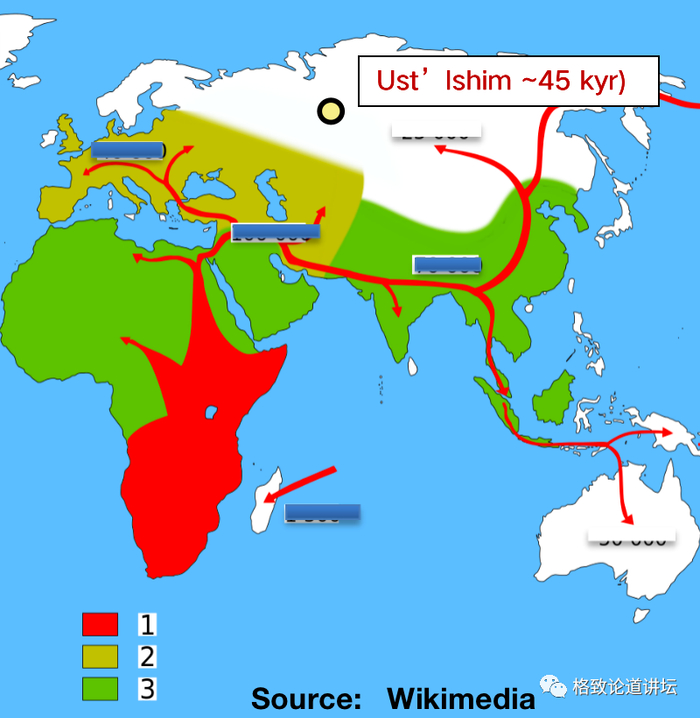 ▲ 现代人早期辐射性进入欧洲、亚洲？