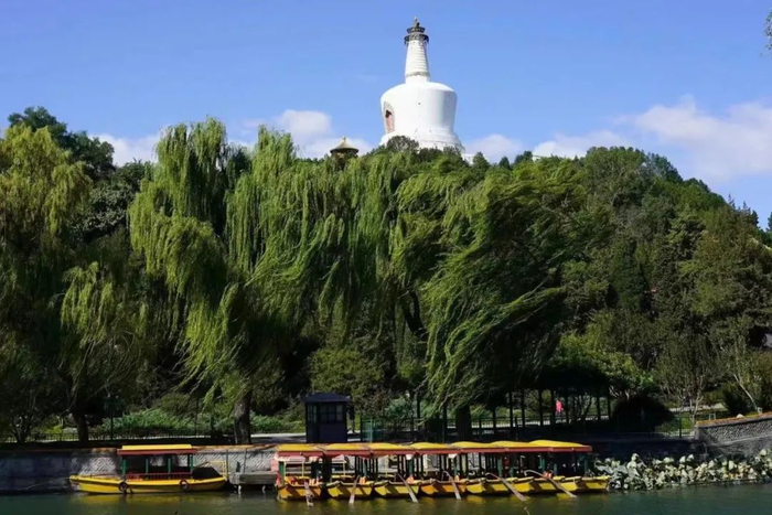 ▲北海公园，垂柳在大风中摇曳，暂停运营的游船停靠岸边。