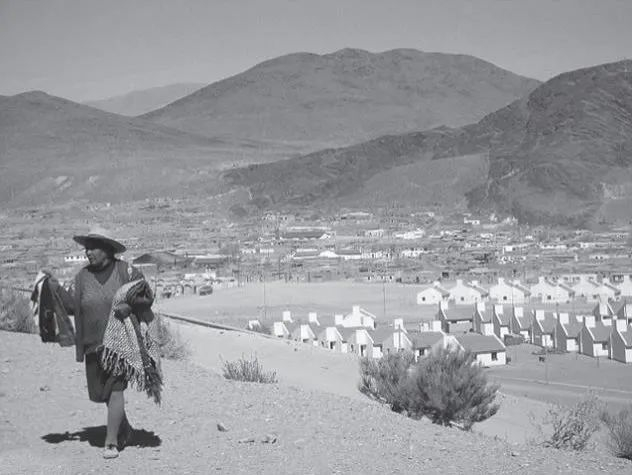 南美洲阿根廷西北部安第斯山脉的一个偏远村庄，地下水的含砷量极高。