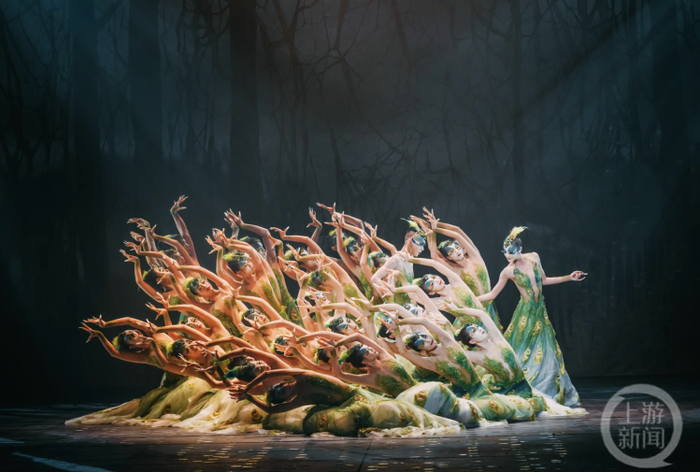 ▲《孔雀》剧照。重庆大剧院供图