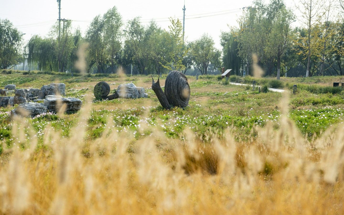 9月28日，久敬庄公园，昔日的裘皮辅料批发市场变为公园绿地。新京报记者 陶冉 摄