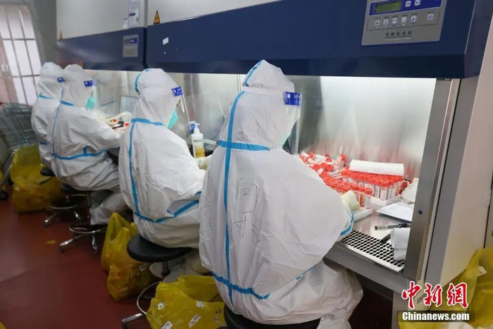  资料图。中新社记者 武俊杰 摄