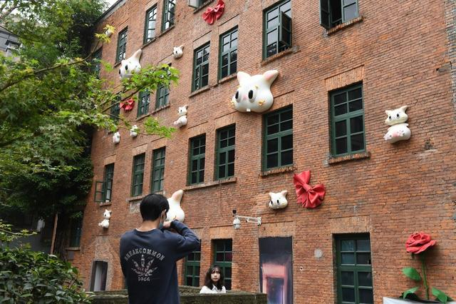 重庆街头现“猫猫墙”，呆萌可爱吸引市民打卡。 周毅 摄