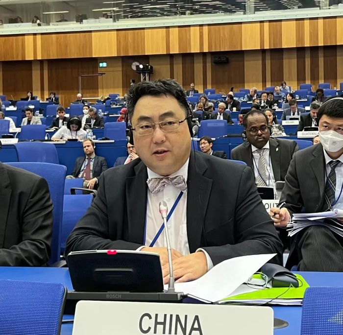 中国常驻维也纳联合国和其他国际组织代表王群大使&nbsp;资料图