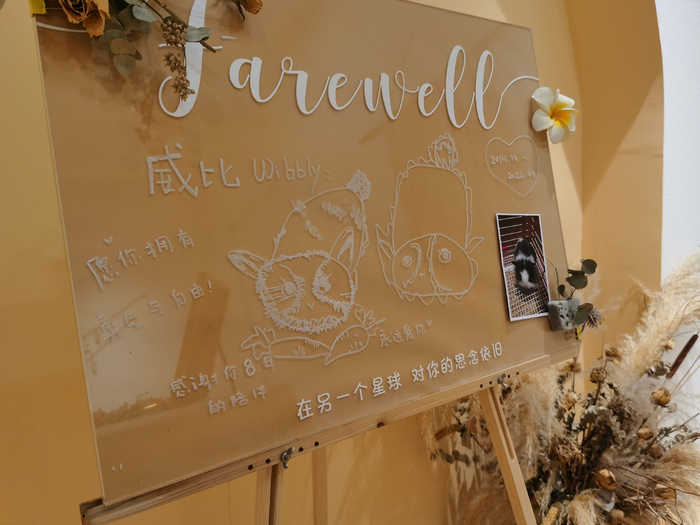 小兔威比的留言板，上面有小朋友为威比作的画。&nbsp; 本文图片均为受访者提供