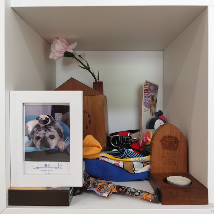 一只宠物狗的骨灰寄存格位