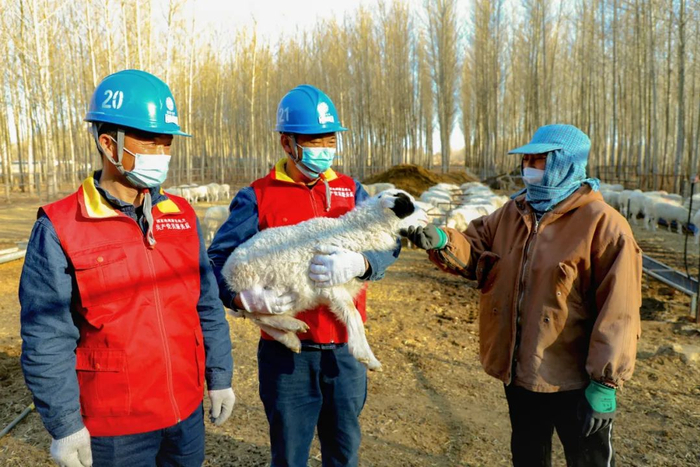 国网通辽供电公司员工走进养殖户家中询问养殖状况。 郭晓宇 摄