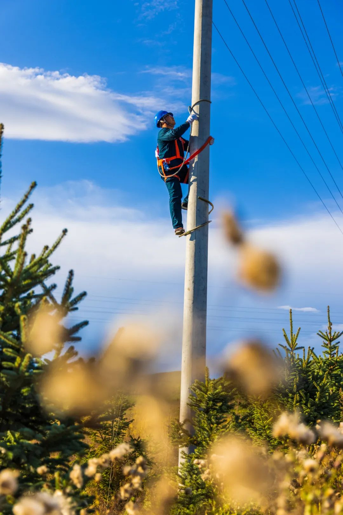国网蒙东电力公司员工开展农村牧区低电压治理。 崔振东 摄