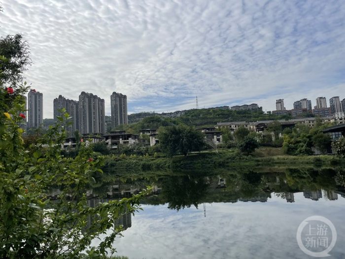 △排污口整治让肖家沟水库焕新颜。