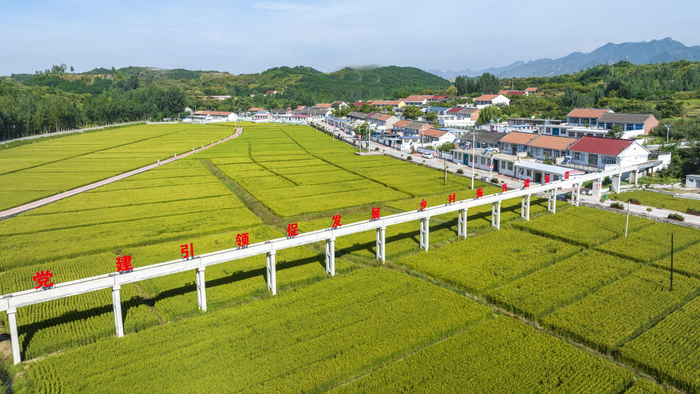 长城脚下的迁安市大崔庄镇楼子山村秋景如画。李彬 摄 