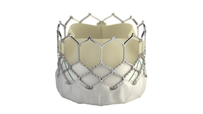 爱德华“SAPIEN&nbsp;3经导管主动脉瓣膜系统”是在第三届进博会上首次亮相的明星展品。&nbsp;