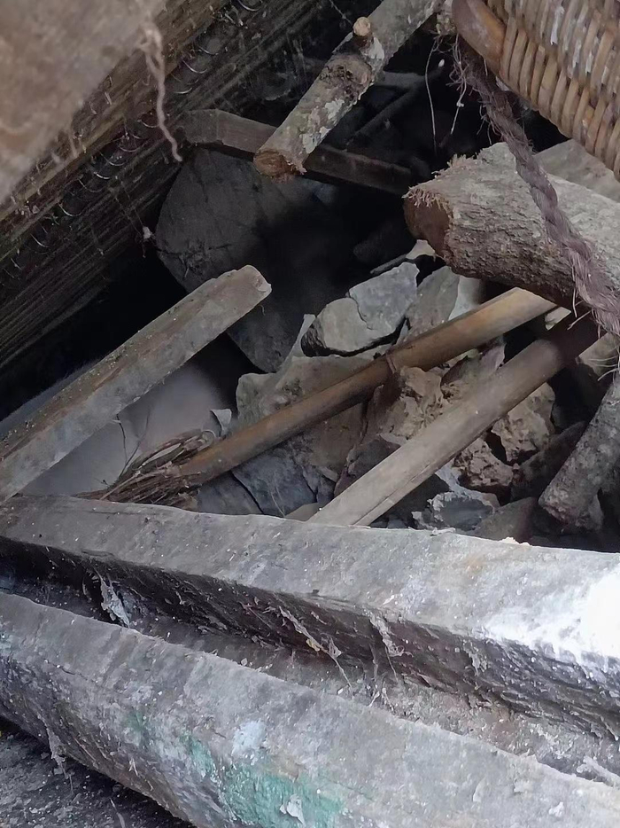 家猪被困的地方，空间狭小。受访者供图