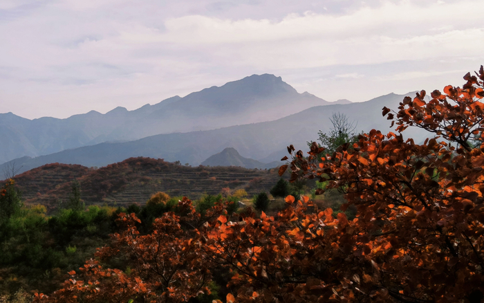 猫耳山红叶美景。南窖乡供图