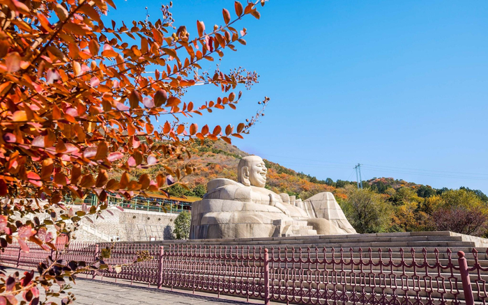 蟒山红叶。荷叶 摄