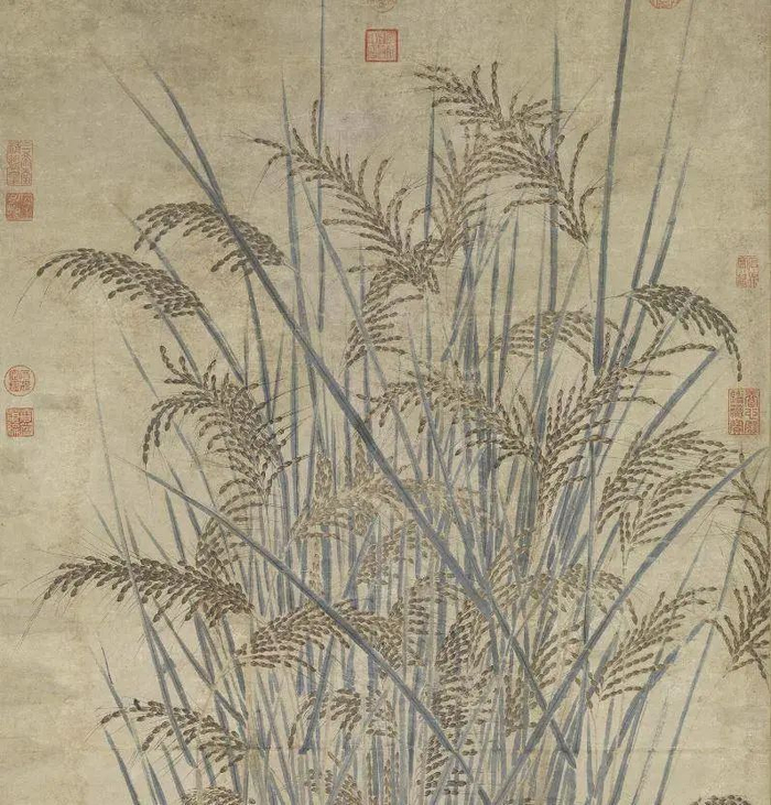 古画看丰收,瞧瞧古代画家怎么描摹秋季丰收|丰稔图|台北故宫博物院|牛|画面|嘉禾_新浪新闻