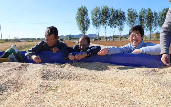 合作社负责人张涛（右一）。受访者供图