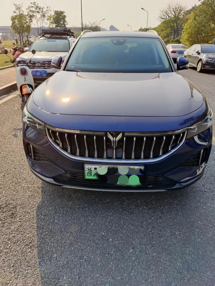 陈女士购买的岚图FREE增程版汽车