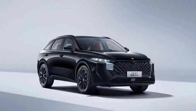 东风启辰大V 图源：东风启辰 