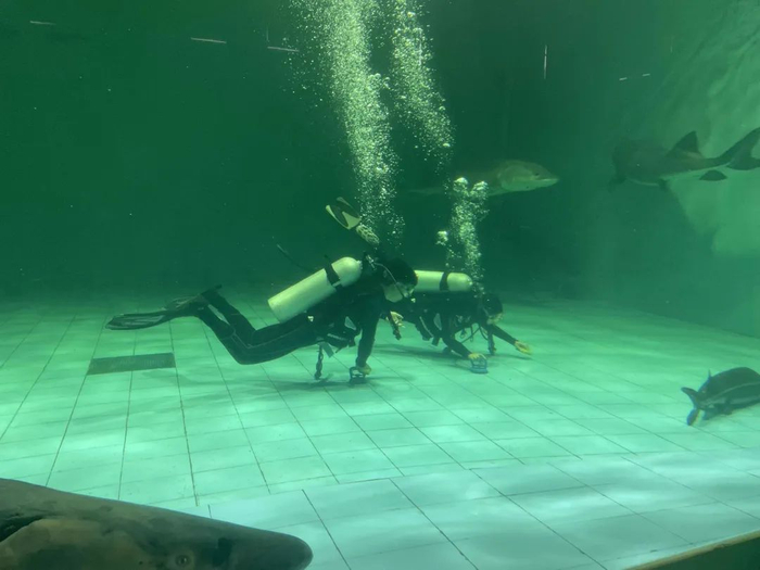 潜入水底的工作人员  本文图均为受访者提供